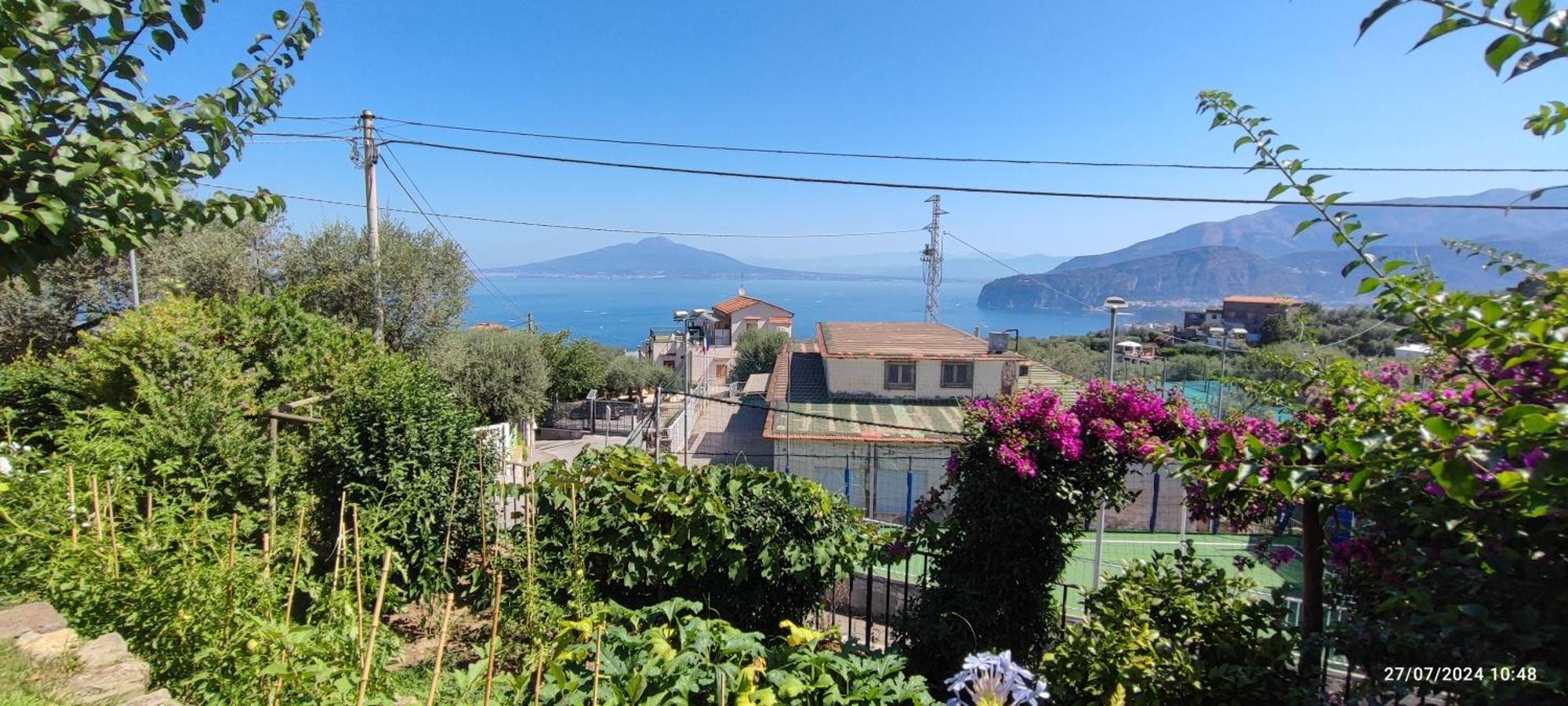 Lally'S Garden Bed and Breakfast Sorrento Exteriör bild