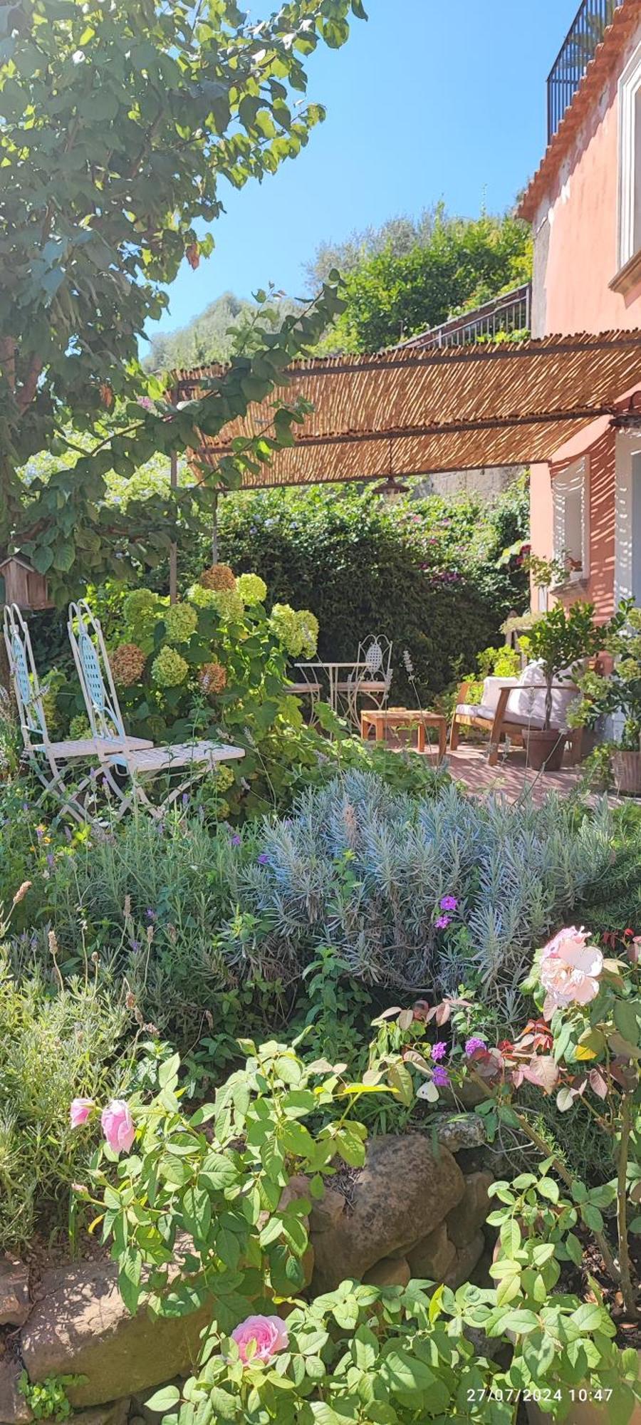 Lally'S Garden Bed and Breakfast Sorrento Exteriör bild