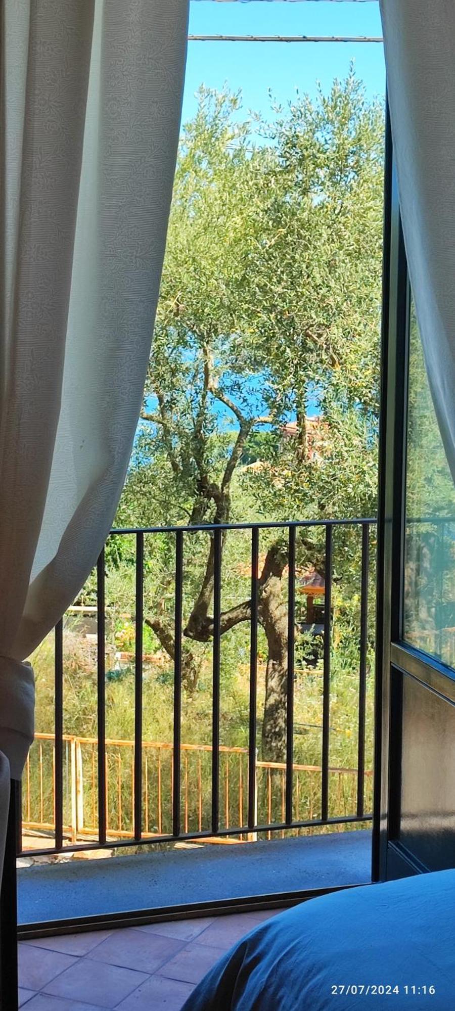 Lally'S Garden Bed and Breakfast Sorrento Exteriör bild